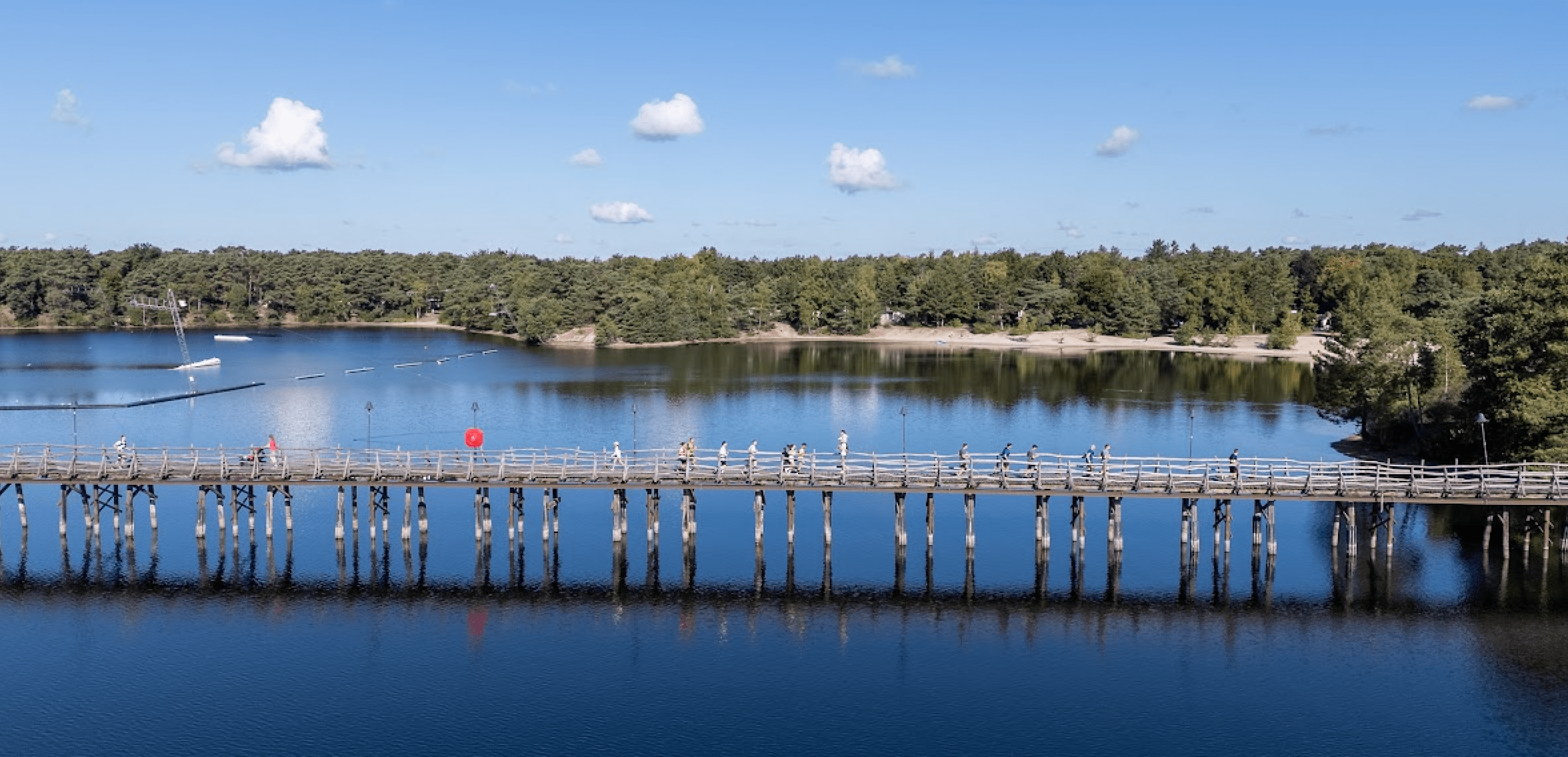 BoslandTrail Run & Walk 2026